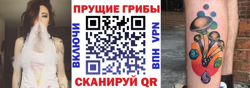 Псилоцибиновые грибы MAGIC MUSHROOMS  Пучеж 